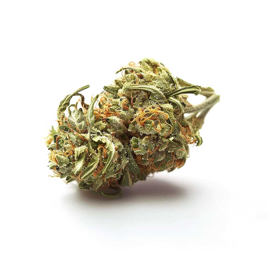 Symbolbild: 420 Sungrown 22/1 CA Dog